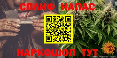 spice Малоярославец
