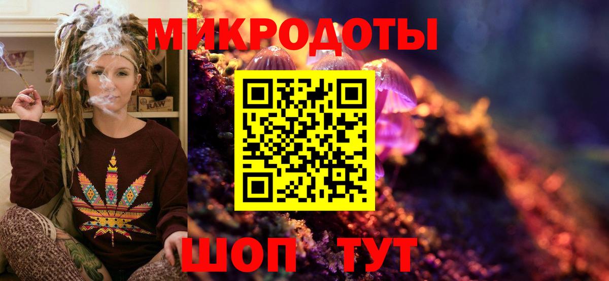 Псилоцибиновые грибы Psilocybe Югорск