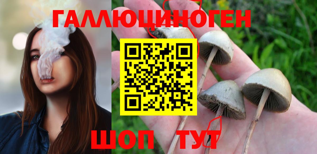 Псилоцибиновые грибы мицелий  Вход с VPN  наркотики  Югорск 